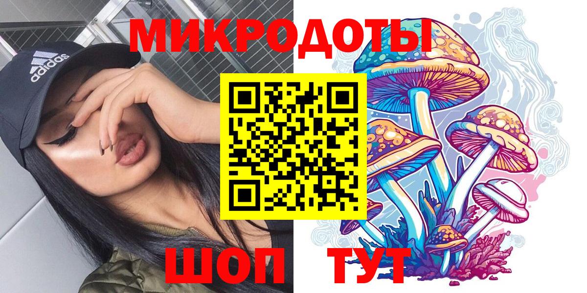 Псилоцибиновые грибы мицелий Котлас