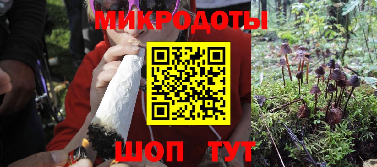 Котлас  Псилоцибиновые грибы Cubensis  Вход с VPN  Псилоцибиновые грибы Psilocybine cubensis 